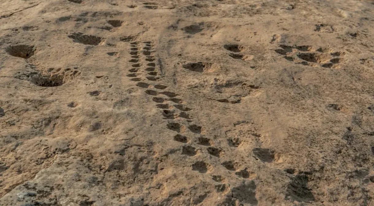 O mistério prevalece sobre o propósito de algumas das gravuras em rochas no deserto do Catar