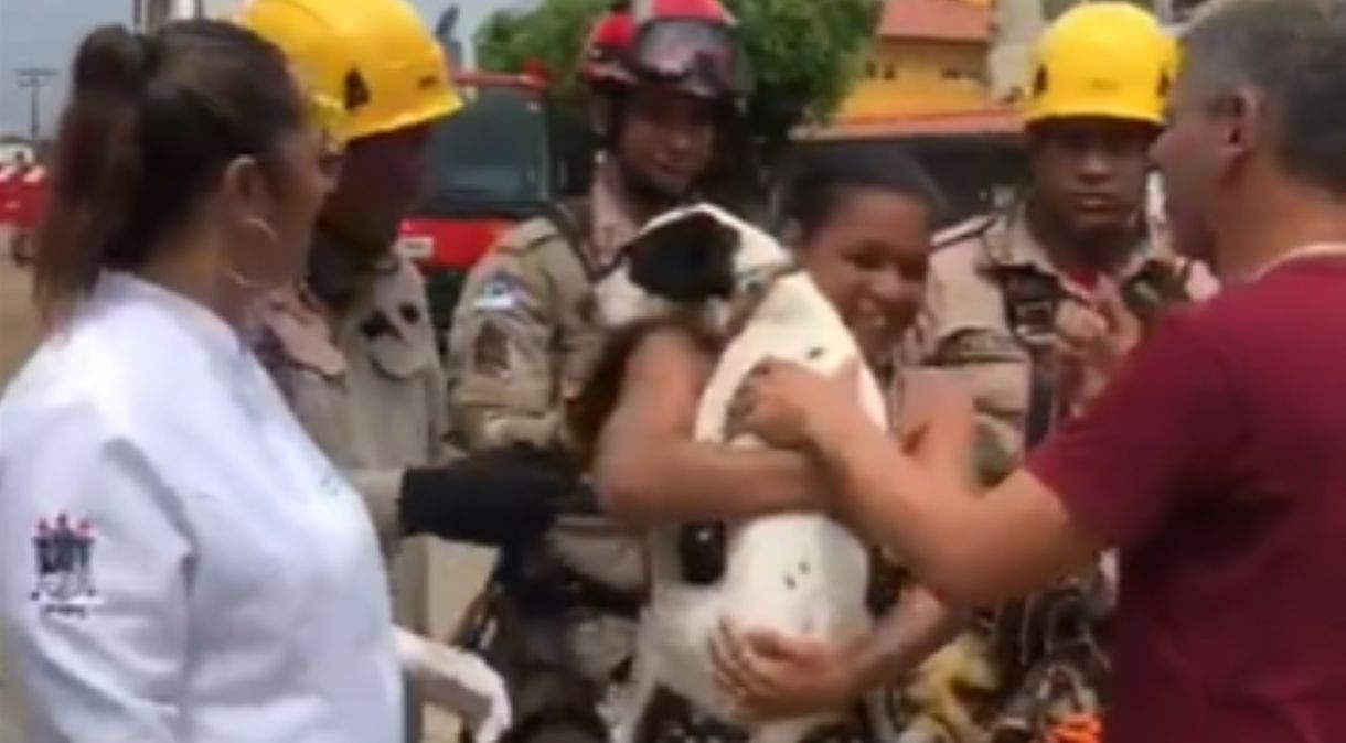 Animal foi entregue para a tutora após ser resgatado pelos bombeiros