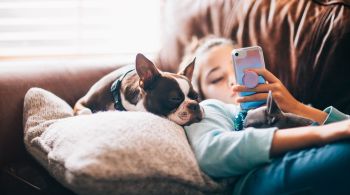 Cientistas apontam que a mesma redução no tempo de sono e em ondas cerebrais lentas ocorre em animais com o equivalente canino da demência, a chamada síndrome da disfunção cognitiva canina