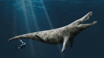 Animal marinho, chamado pliossauro, teria habitado os mares da terra há 152 milhões de anos; reais dimensões ainda são alvo de forte debate entre o meio acadêmico 