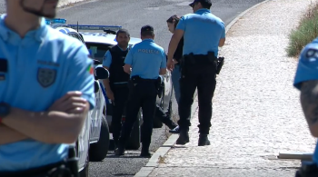 Caso ocorreu por volta das 8h da manhã deste domingo (30), em uma área agrícola de Setúbal, na Região Metropolitana de Lisboa