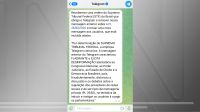 Telegram cumpre ordem do STF, apaga mensagem sobre o PL das Fake News e divulga texto sobre desinformação no lugar