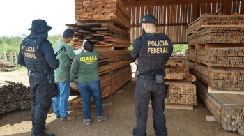 Ação conta com a participação do Instituto Brasileiro do Meio Ambiente e dos Recursos Naturais Renováveis (Ibama) e da Fundação Nacional dos Povos Indígenas (Funai)