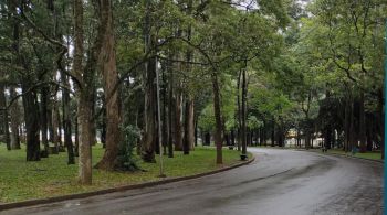 Capital paulista foi atingida por uma tempestade na tarde de sexta-feira (3)