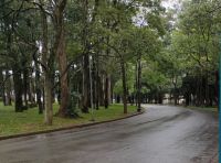 Parque Ibirapuera é interditado por causa de tempestade e interrompe Bienal de SP