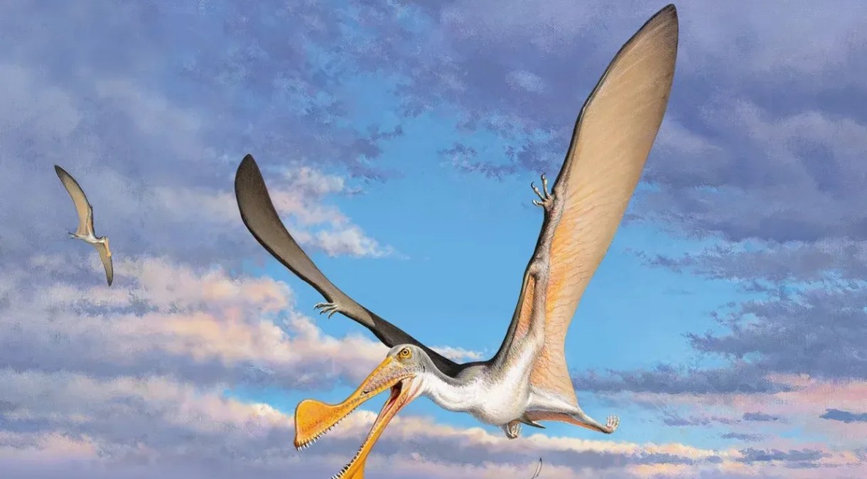 Imagem artística de um pterossauro feita pelos cientistas