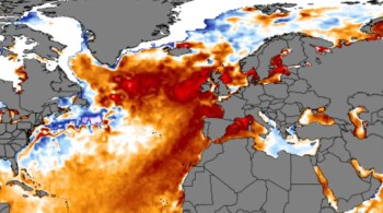 Onda de aquecimento marinho acontece nas costas do Reino Unido e Irlanda, onde calor de categoria 4 deixa temperatura da água 5ºC mais quente que o normal em algumas áreas