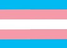 Bandeira do Orgulho das Pessoas Trans 