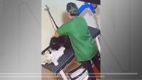 Cachorra morre após banho em pet shop de Goiás; Polícia investiga imagens de agressão de funcionária