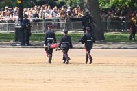 Guarda desmaia durante evento da família real em Londres