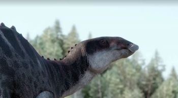Cientistas batizaram o dinossauro de Gonkoken nanoi, que pesava até uma tonelada e viveu cerca de 72 milhões de anos atrás