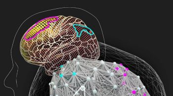 Estudo publicado na Nature Communications explica que cérebros com maior sincronização evitam tomar decisões precipitadas em resposta a um desafio