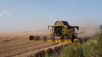 Pacto visa aliviar crise global de alimentes ao permitir que grãos ucranianos bloqueados pela guerra sejam exportados com segurança