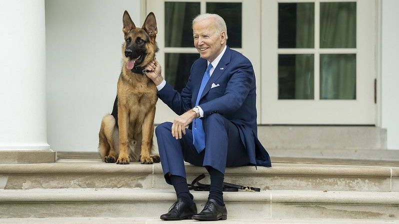 O presidente Joe Biden posa para fotos com seu cachorro, Commander, para o Dia Nacional do Animal de Estimação, em 8 de abril de 2022, no Rose Garden da Casa Branca