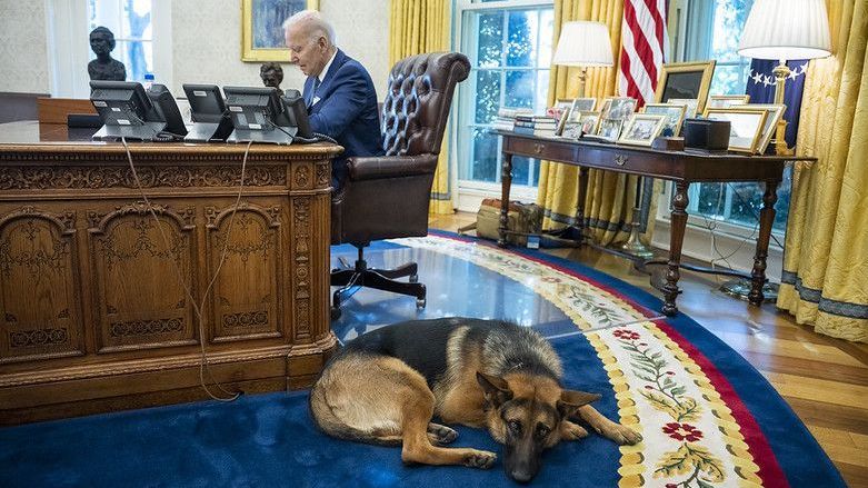 Cachorro Commander espera no Resolute Desk enquanto o presidente Joe Biden se reúne com a equipe no Salão Oval da Casa Branca, em 27 de setembro de 2022