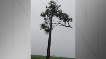 Alertas valem para toda a faixa litorânea entre Chuí, no Rio Grande do Sul, e Florianópolis