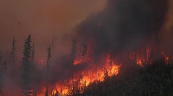Autoridades de Colúmbia Britânica solicitou ajuda das forças armadas canadenses e o envio de mais de mil bombeiros de sete países; um bombeiro e uma criança morreram por ação do fogo ou fumaça 