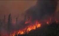 Com incêndios fora de controle, Canadá pede ajuda internacional