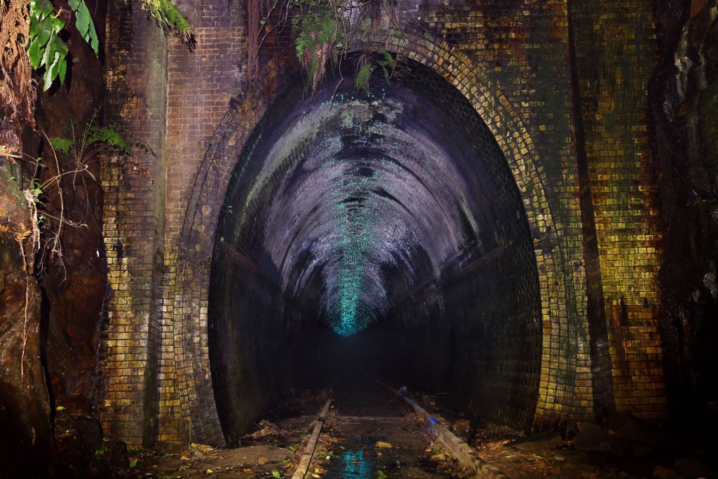 Glow Worm Tunnel, na Austrália