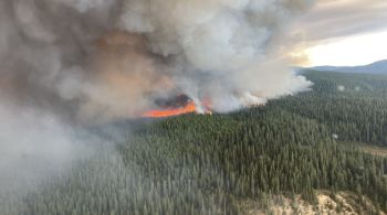 A maior parte dos focos acontece no estado da Colúmbia Britânica, onde mais de mil ocorrências foram registradas desde abril por causa do clima seco; várias cidades norte-americanas sofrem com a piora na qualidade do ar