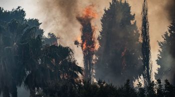 Somente nesta terça-feira três pessoas morreram após a queda de uma árvore, durante as fortes tempestades que atingiram o norte da Itália 