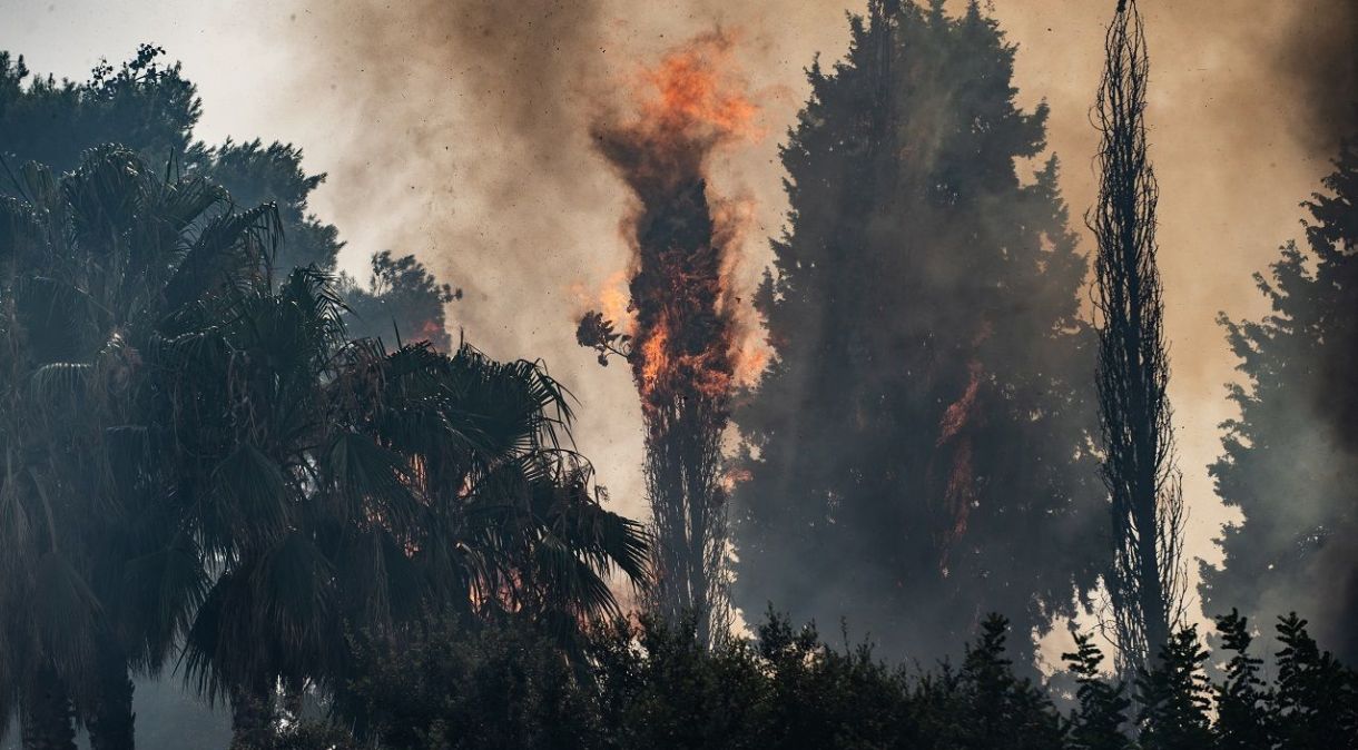 Incêndio atinge floresta próximo a Catania