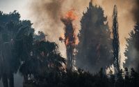 Incêndios florestais, calor e granizo gigante: Itália sofre com todo tipo de clima extremo