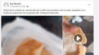 Mulher é morta por atendente de padaria após reclamar da qualidade do pão nas redes sociais