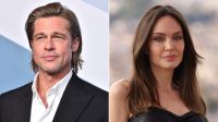 Brad Pitt é acusado de “saquear” bens de vinícola alvo de processo com Angelina Jolie