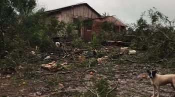 Cidades de Santa Catarina registraram rajadas de vento acima dos 100 km/h na manhã desta quinta-feira (13)