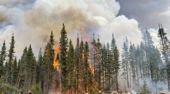 País norte-americano tem grande histórico no combate de grandes incêndios florestais