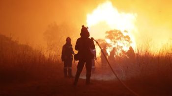 Dezenas de incêndios florestais devastam a Grécia e outras partes da região sofrem sob um calor intenso à medida que o verão extremo na Europa continua