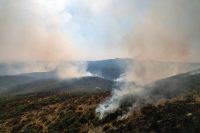 Incêndio florestal na Grécia destrói área maior que a cidade de Nova York