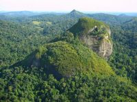 Ocupantes de helicóptero que desapareceu há 3 dias na Amazônia são encontrados com vida