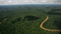 4 milhões de litros de combustíveis foram roubados na Amazônia nos últimos 18 meses