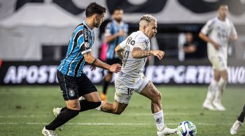 Peixe luta contra o rebaixamento do Brasileirão e atualmente se encontra na décima sétima colocação, com 21 pontos