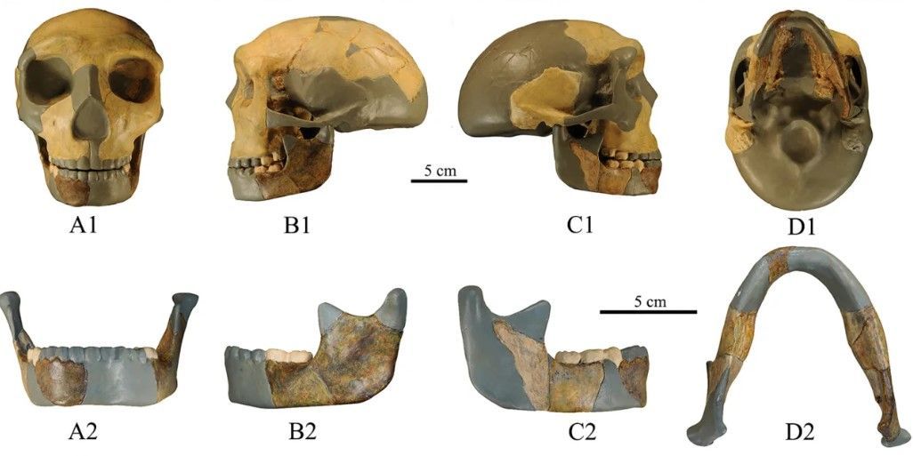 Crânio de antigo hominídeo é encontrado na China