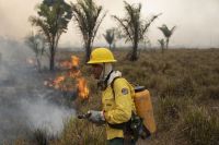 Servidores do Ibama e ICMbio entregam cargos e fazem paralisação no Dia do Meio Ambiente