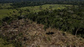 Estudo da Global Witness registrou 177 mortes em 2022 ao redor do mundo; dessas, 39 ocorreram na região amazônica