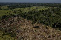 Amazônia lidera com mortes de ambientalistas e defensores do meio ambiente, aponta relatório