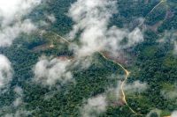 Diálogos Amazônicos: Evento de debates que antecede Cúpula da Amazônia começa nesta sexta-feira