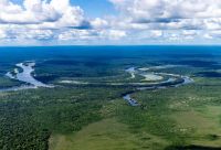 Noruega anuncia doação de US$ 50 milhões para o Fundo Amazônia na COP28