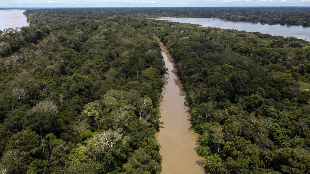 No Brasil, a área de vegetação nativa do bioma amazônico era de 79% em 2021