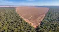 “Ponto de não retorno” na Amazônia é motivo de preocupação de Marina e gestores da política ambiental