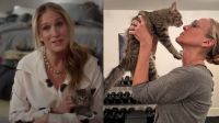 Sarah Jessica Parker adota gatinho de Carrie Bradshaw na vida real; veja fotos