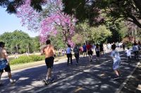 Parque Ibirapuera reabre após ter sido interditado devido às chuvas que atingiram SP