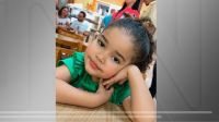 Morre menina de 3 anos baleada na cabeça por agente da PRF no RJ