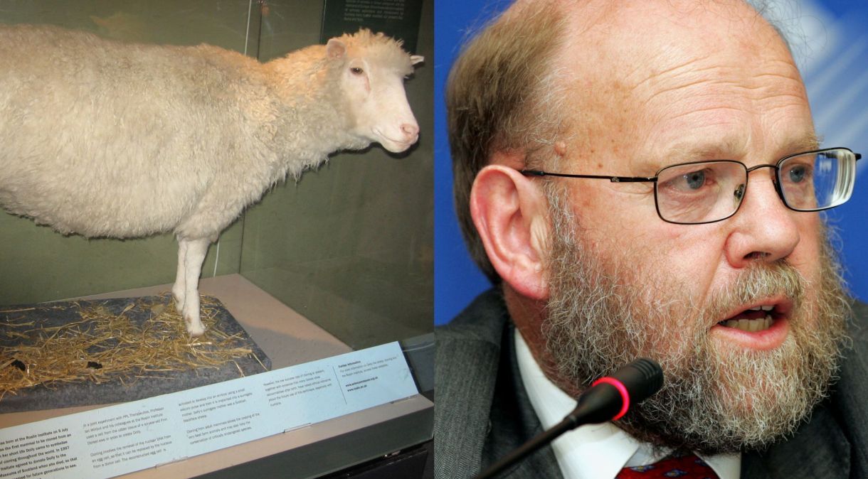 Ian Wilmut e Keith Campbell criaram a ovelha Dolly em 1996