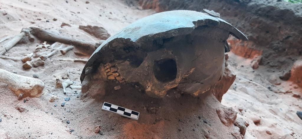 Esqueleto foi encontrado em escavação no Piauí