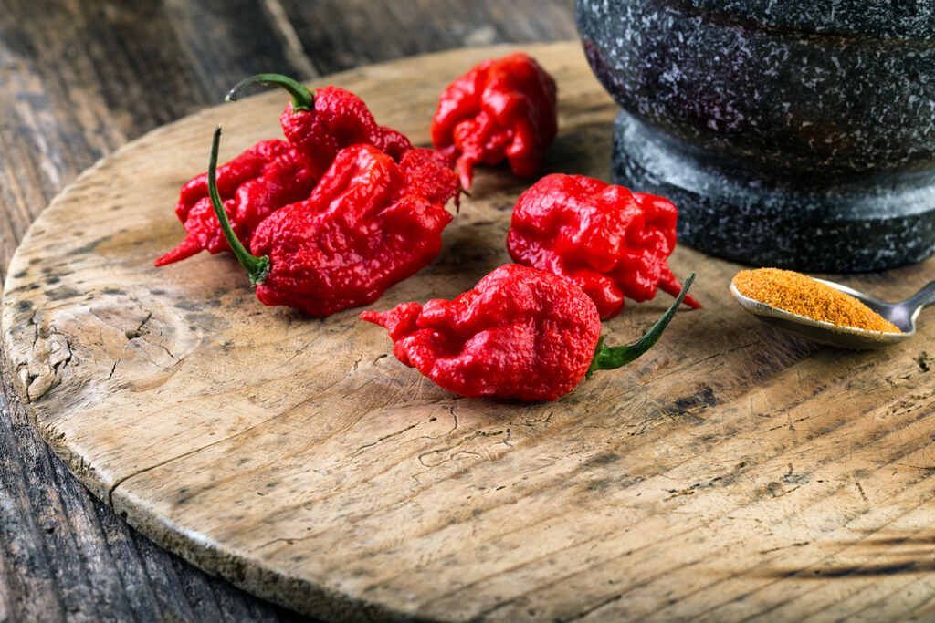 Pimenta Carolina Reaper